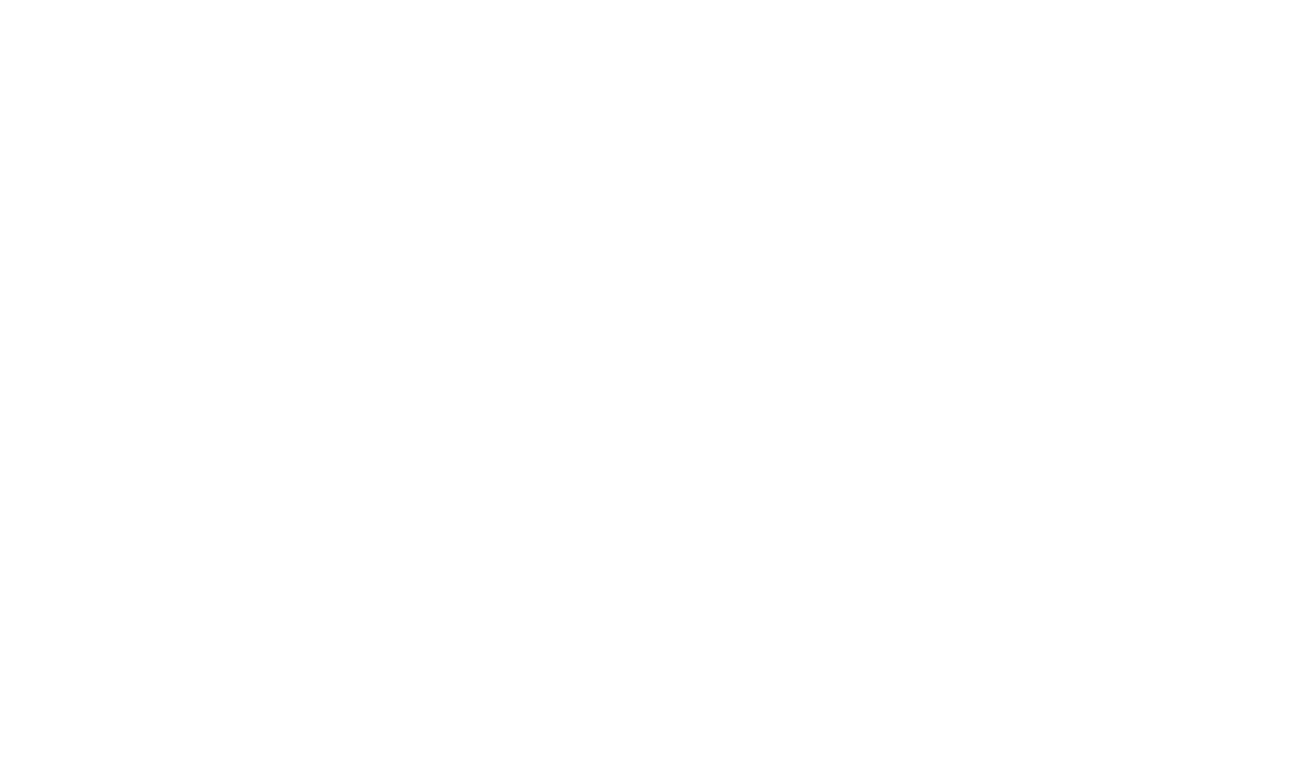 Scholz & Meister SmartHomes GmbH Logo