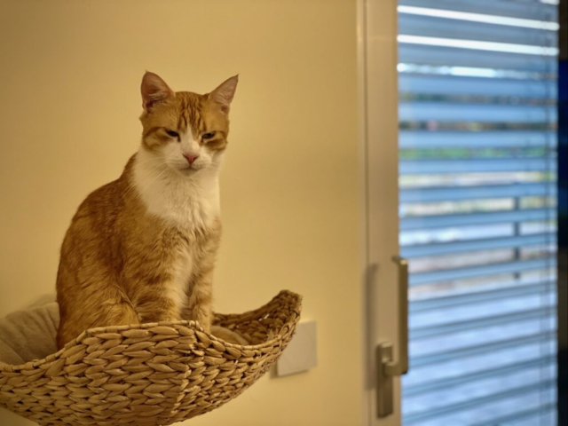 20211022_124305124_iOS SmartHome Heizung